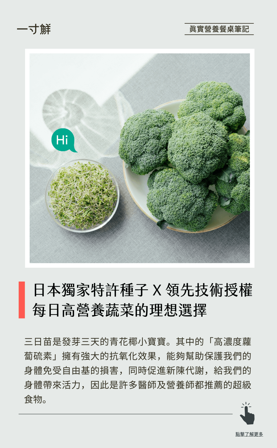 三日苗，超級青花椰苗