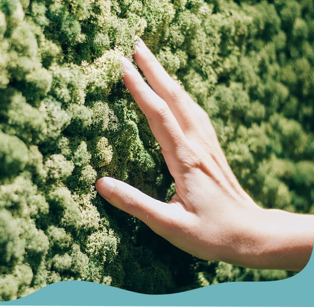 線線場域的永續實踐