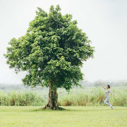 每天一封電子報，提供綠行動靈感